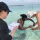 Anke from Sharkprject Switzerland and The Maldives With Ocean Dimensions