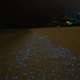 Bioluminescten Plankton on the Beach in The Maldives Ocean Dimensions