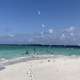 Sea Birds in The Maldives With Ocean Dimensions