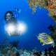 Diving with a GoPro The Maldives With Ocean Dimensions