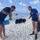 Oleg and Nika picked up Crown Of Thorn Starfish from the House Reef Ocean Dimensions Maldives