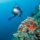 Scuba Diver Ocean Dimensions The Maldives