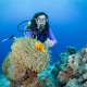 Scuba Diving Ocean Dimensions Maldives