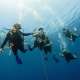 Diving in The Maldives with Ocean Dimensions