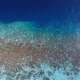 The Formation of The Maldives With Ocean Dimensions