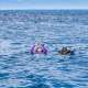 Underwater Communication while Diving with Ocean Dimensions in The Maldives