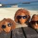 Moana sunglasses on 5 coconut heads at Ocean Dimensions in The Maldives