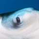 Manta Ray Spotted while Snorkelling and Diving with Ocean Dimensions in The Maldives